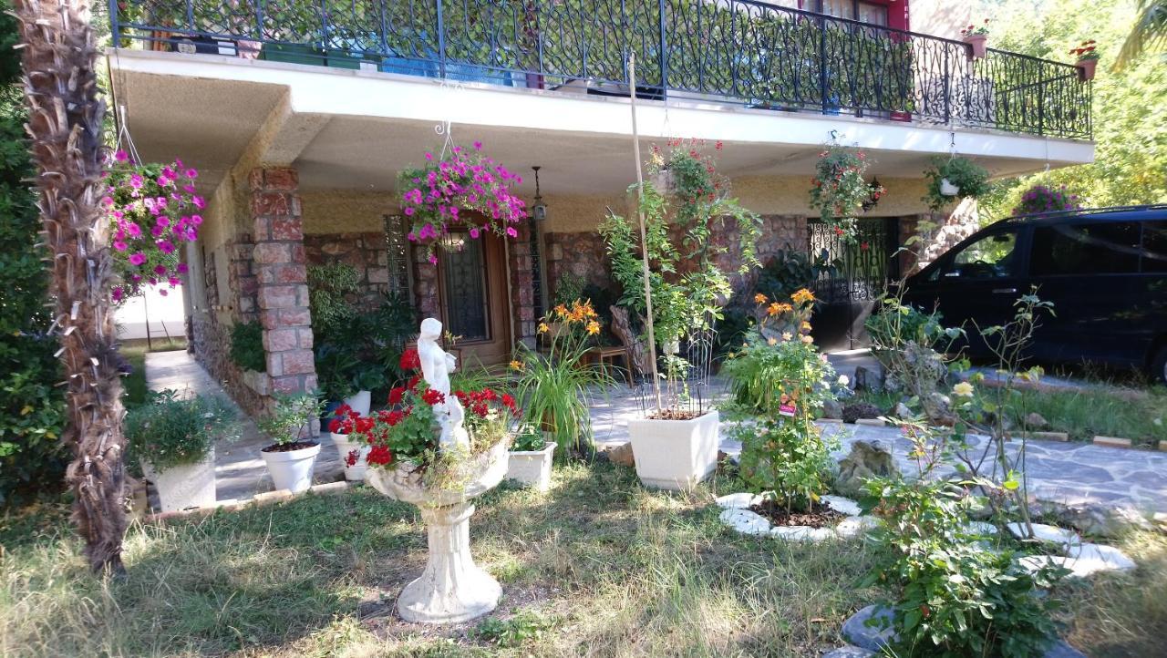 Appartement 48 M2 Avec Jardin Au Rdc Dans Villa A 5 Min A Pied Des Thermes De Vernet-Les-Bains, Location De Samedi A Samedi Exterior foto